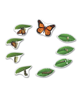 Životný cyklus - magnetky motýľ